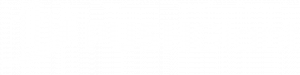 PushGiant_Logo_White
